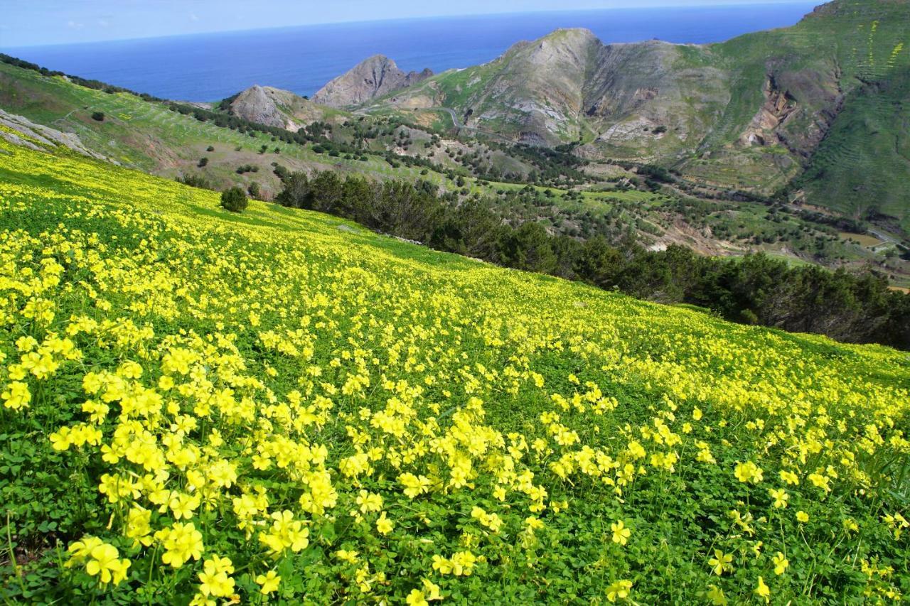 Porto Santo - Pedras Pretas Beach House Luaran gambar